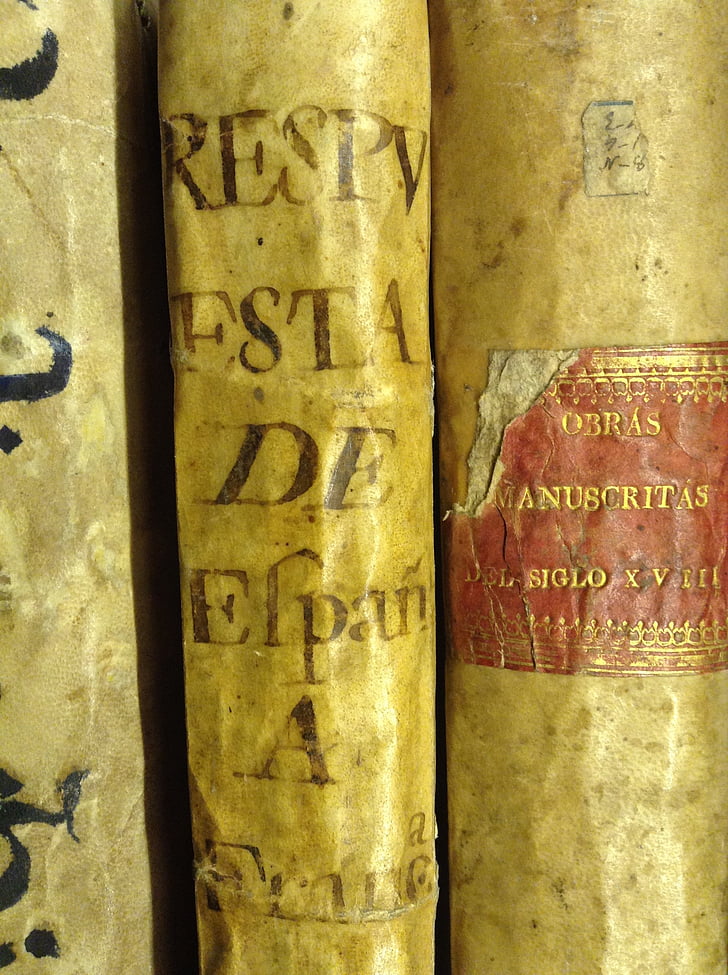 books, old, library, parchment