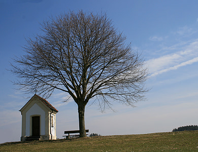 Feldkapelle, albero, Banca, primavera, natura, paesaggio, cielo