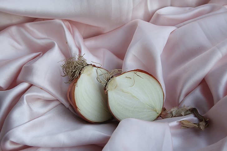 cibule, Rosa, Příroda