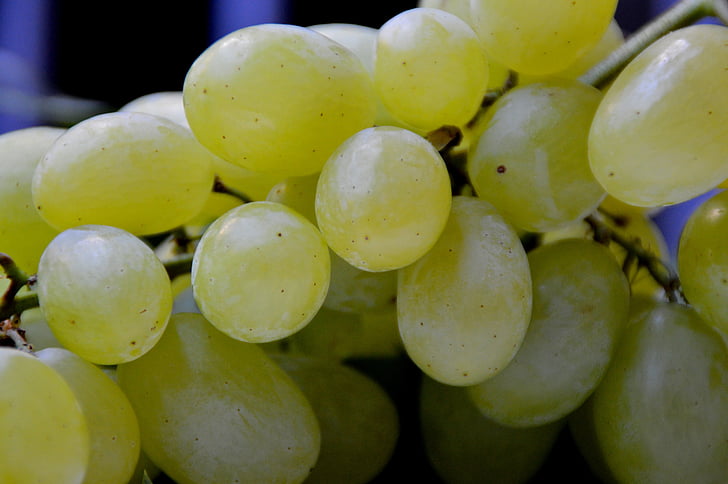 winogron, uchwyt winogron, winorośli, słodkie, pozostawione bez leczenia, rynku, zakup
