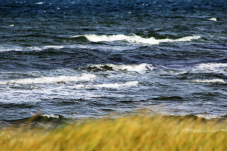 水, 波, 沙丘, 海, 波浪的运动, 背景, 湿法