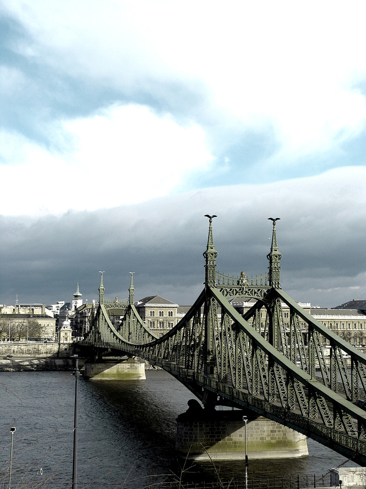 Унгария, Будапеща, Дунав, мост, свобода мост, стъбло, пътуване