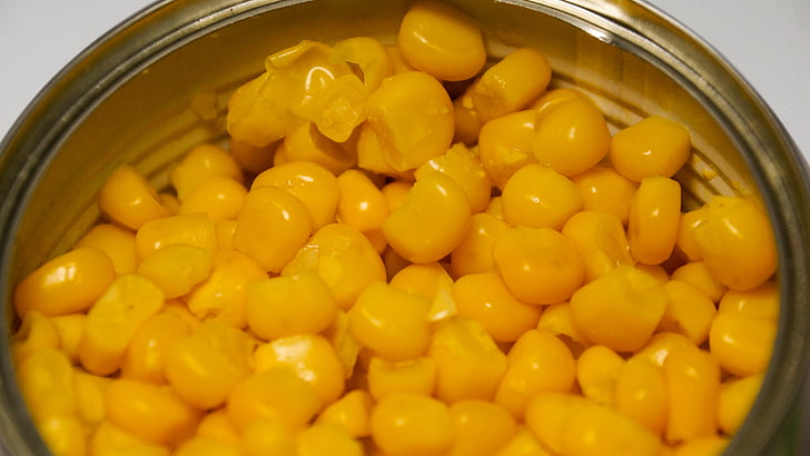 corn, vegetable, food, can, kernels, yellow