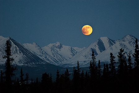 mountains, night, full moon, landscape, sky, snow, trees