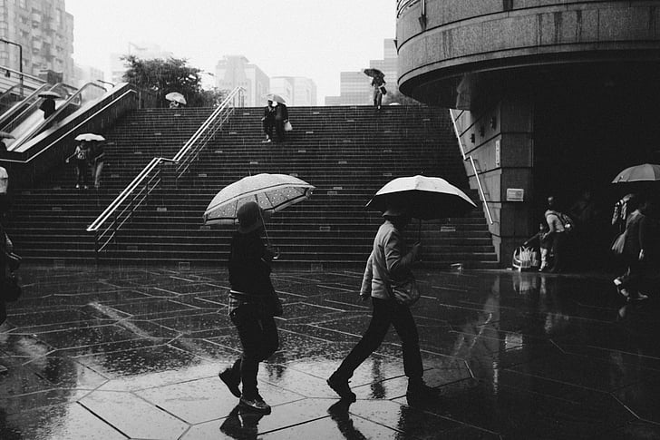 άτομα, βρέχει, ομπρέλες, υγρό, πόλη, αστική, καιρικές συνθήκες