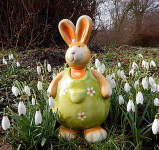 Veľkonočné, jar, kvety, Holiday karty, blahoželanie, Príroda, králik - zvierat