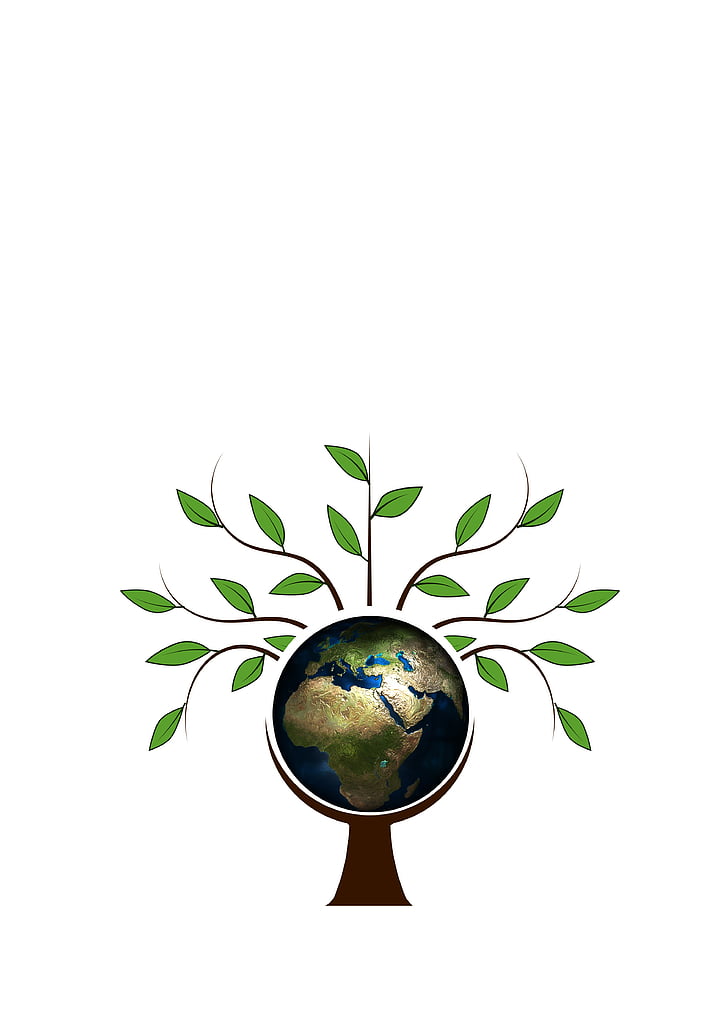 Baum, ästhetische, Log, Krone, Logo, Emblem, Symbol