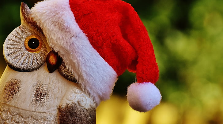 christmas, owl, santa hat, contemplative, figure, decoration, cute