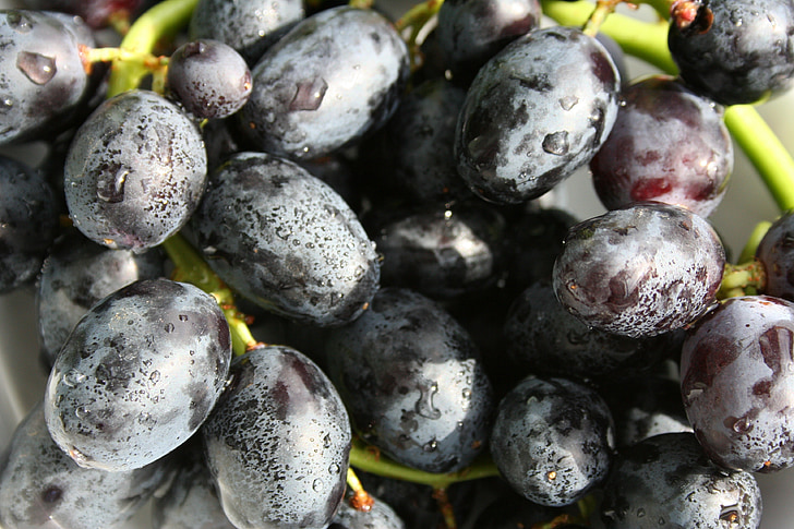 raisins, fruits, noir