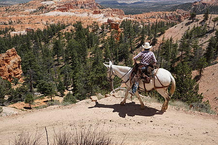 Cowboy, Koń, Bryce canyon, park narodowy, Stany Zjednoczone, krajobraz