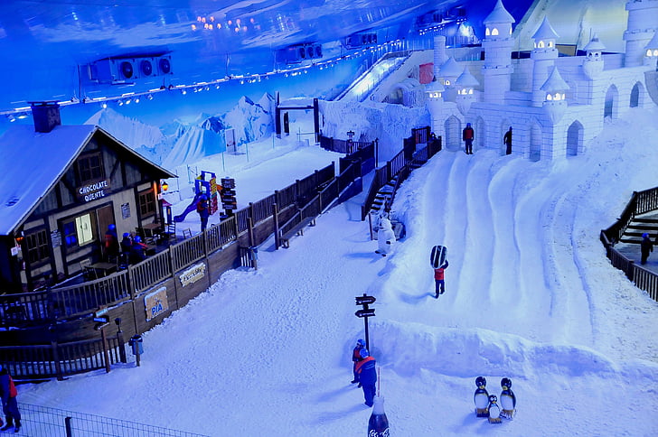 snowland, lawn, brazil, park, snow, under the roof