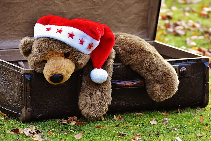 Natale, bagagli, oggetto d'antiquariato, orsacchiotto, giocattolo morbido, animale di peluche, Giocattoli