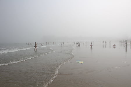 people, swim, ocean, daytime, beach, sea, fog