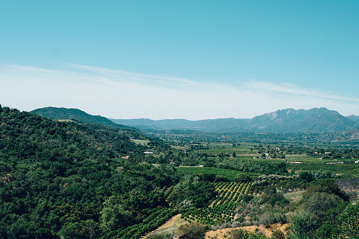 ojai, california, vineyards, landscape, green, grass, fields