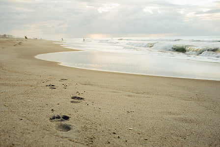 beach, sand, footprints, shore, ocean, sea, water