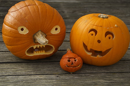 pumpkins, three, halloween, family, cheeky, autumn, face