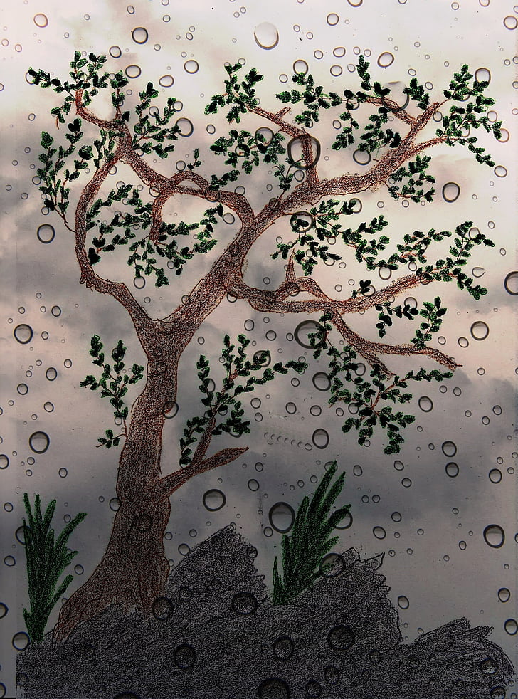 tree, painted, drawn, digital, rain, nature