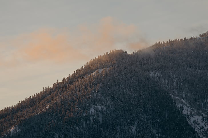 antena, fotogrāfija, zaļa, koki, kalni, sniega, zelta
