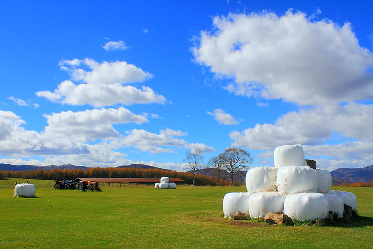 blue sky, pasture, ranch, grass, shinshu, tractor, cloud