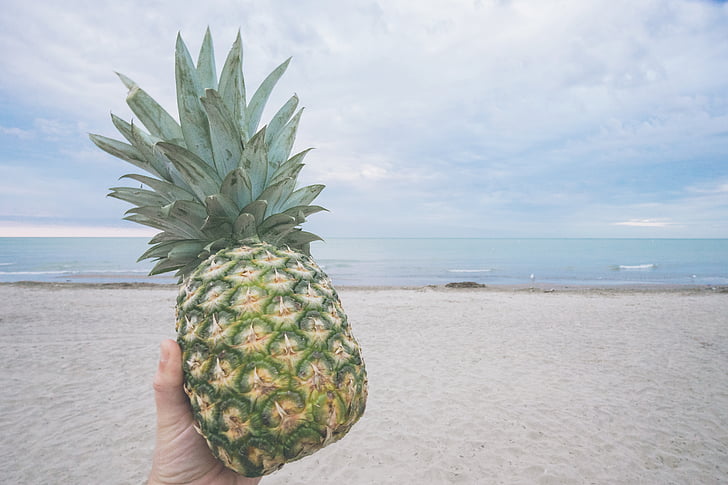 beach, fruit, hand, island, landscape, outdoors, pineapple