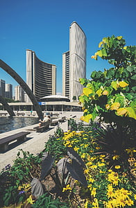 Торонто кметството, зала нов град, Торонто, Канада, архитектура, фасада, Онтарио