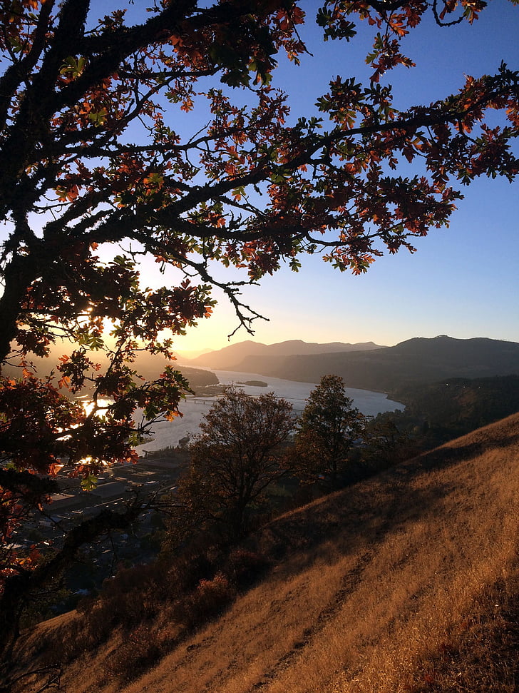syksyllä, Columbia gorge, puu, Oregon, Columbia, rotko, vesi