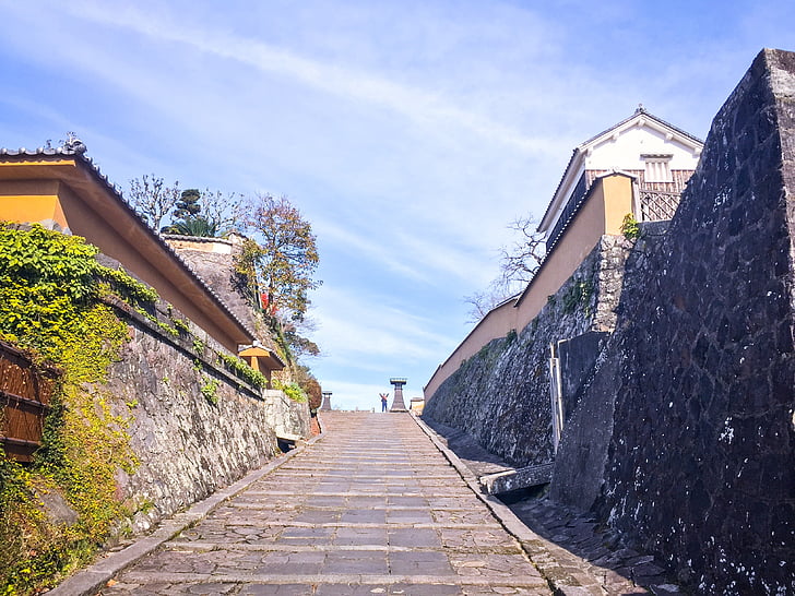 Kyushu, Castle, Japan, landskab, natur, udendørs, bjerge