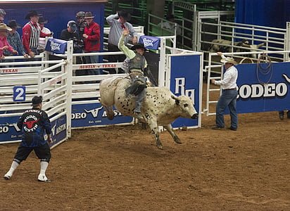 Ratsutamine Bull, kauboi, Rider, bucking, Rodeo, auaste, sarved