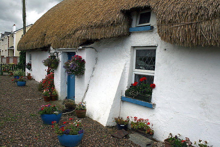 Irlandia, pintu, ballyedmond, rumah, rumah, jerami, atap jerami
