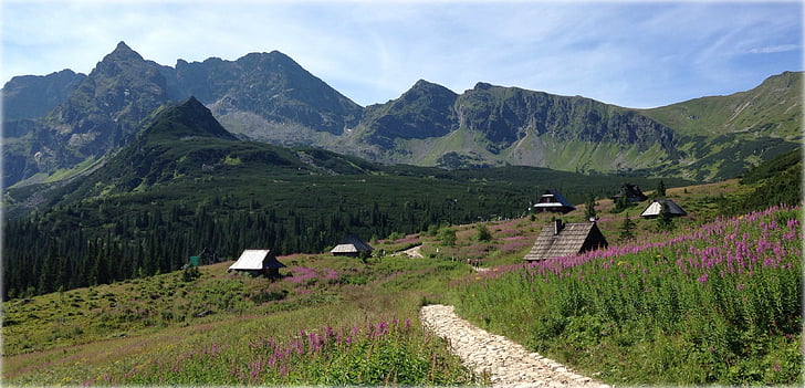 Tatry, Polonia, montagne, Hala gąsienicowa, paesaggio, montagna, natura