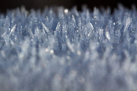 rimfrost, makro, kolde, vinter, frosne, krystaller, gennemsigtig