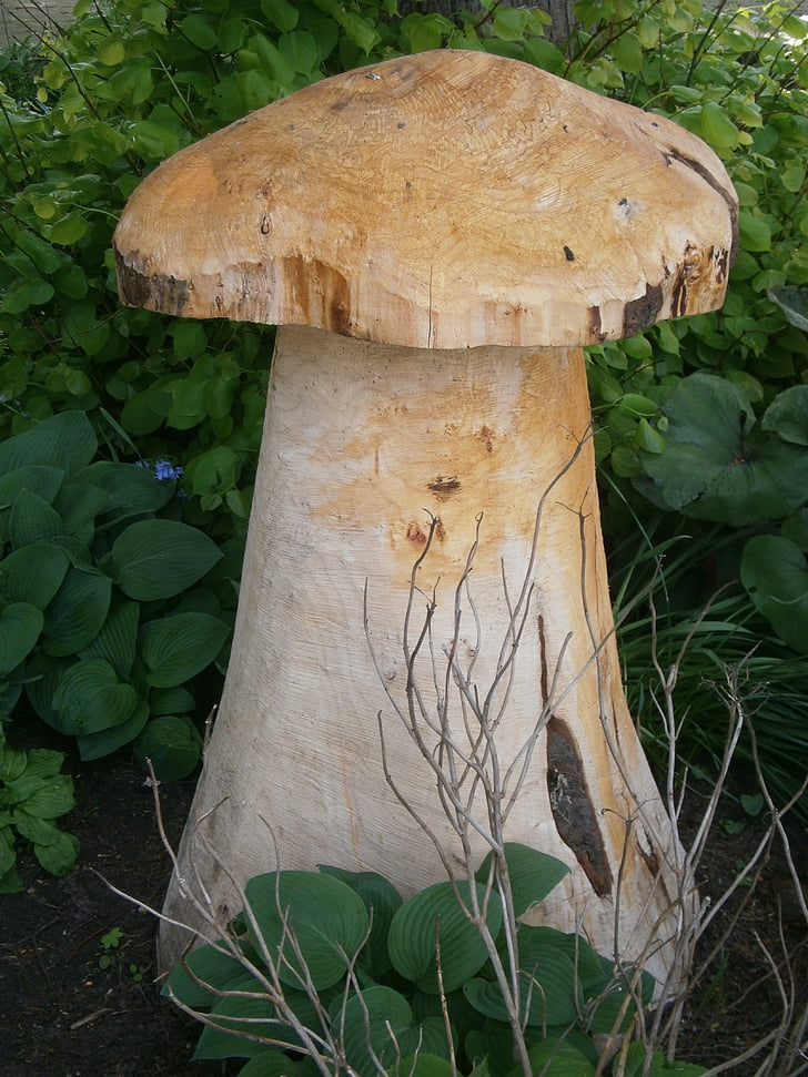 champignon, træ, skulptur