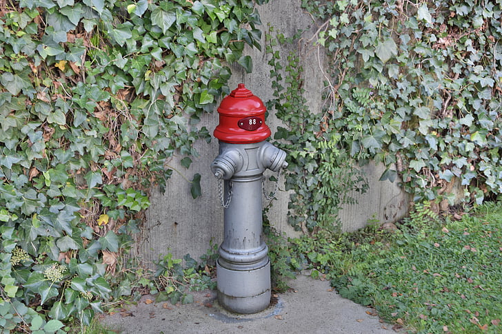 hydrant, red, metal, water, fire, fire extinguishing, water hydrant
