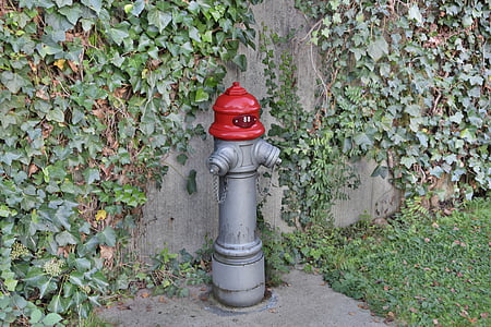 Hydrant, merah, logam, air, api, pemadam kebakaran, hidran air