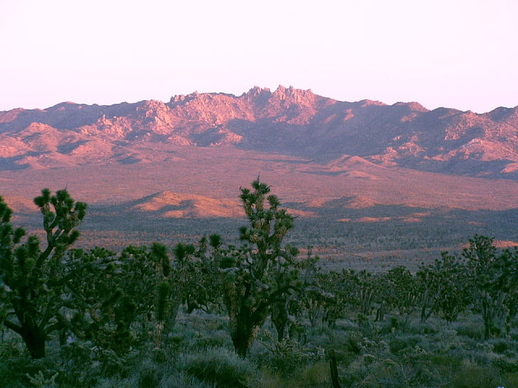 paisagem, pôr do sol, noite, Crepúsculo, Crepúsculo, montanhas de Nova york, Mojave national preserve