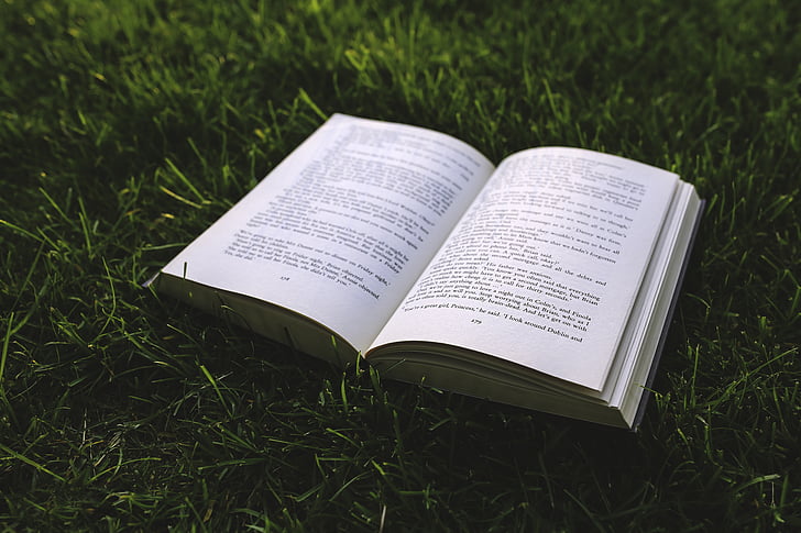 book, grass, letters, literature, meadow, novel, page