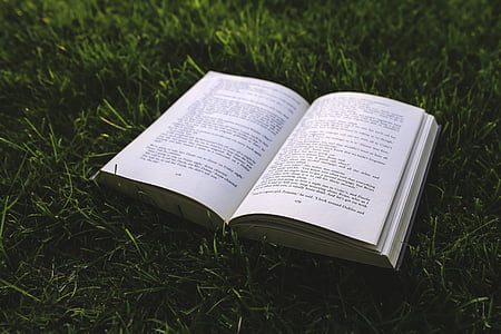 llibre, herba, lletres, literatura, Prat, novel·la, pàgina