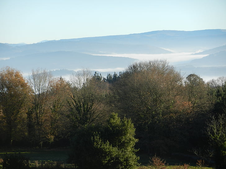 mountains, fog, nature, landscape, trees