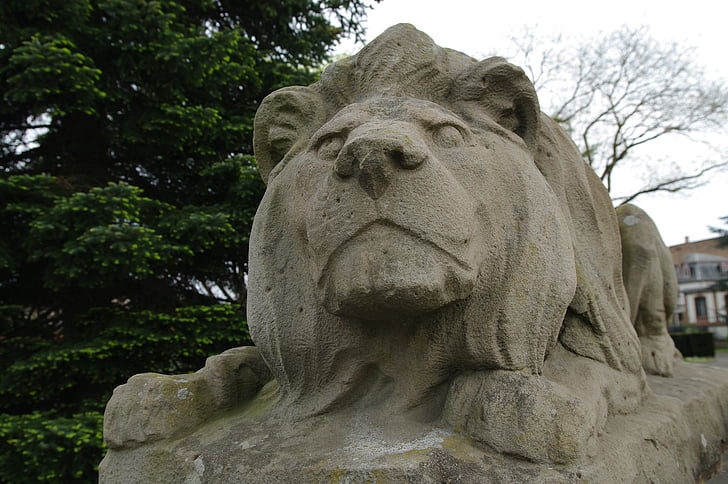 lion, sculpture, lion lying, limestone, tawny, art, rest