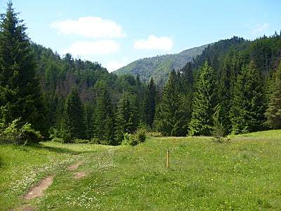prosiecká dolina, batu, alam, pemandangan, Slovakia, pegunungan