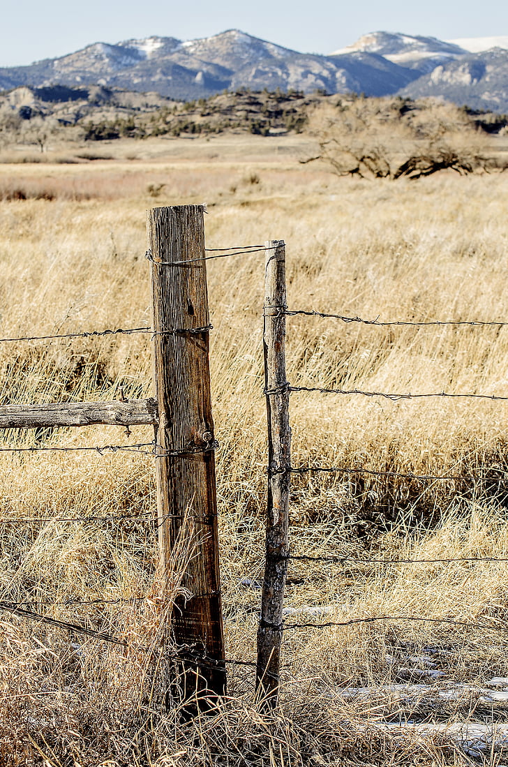 poteau de clôture, fil de fer barbelé, porte, Ranch, Rustic, Montana, fil
