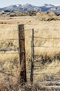 fence post, barbed wire, gate, ranch, rustic, montana, wire