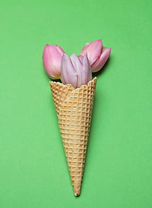 tulipány, kužel zmrzliny, Vafle, květiny, zelená, růžová, fialová
