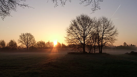 sunrise, trees, morning, morgenstimmung, nature, landscape, impression
