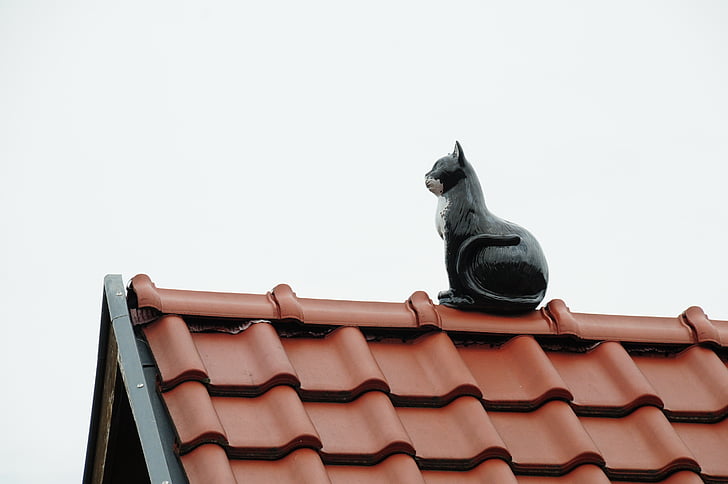 roof, home, roofing, red, gable, cat, architecture