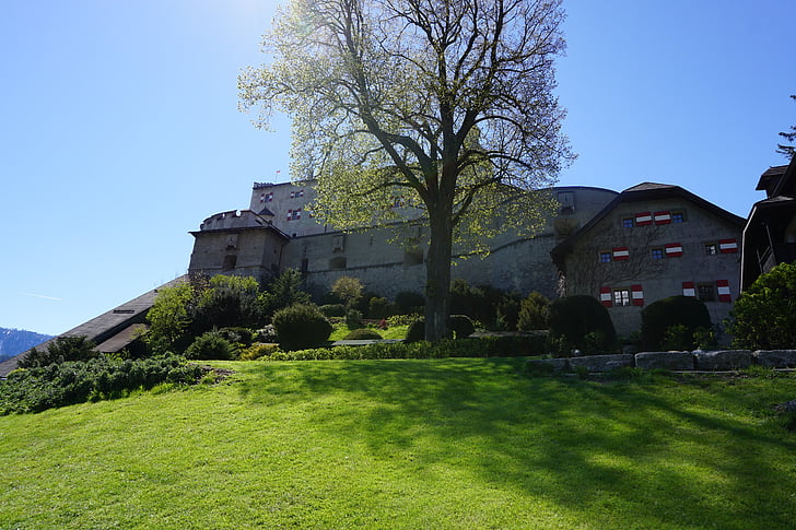 Château, arbre, nature, Moyen-Age