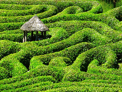 bludiště, labyrint, glendurgan, zahrada, Cornwall, Jižní žlázy, Spojené království