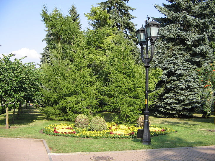 place centrale, Stavropol, lanterne, arbre, nature, Parc - homme rendu spatial, jardin à la française