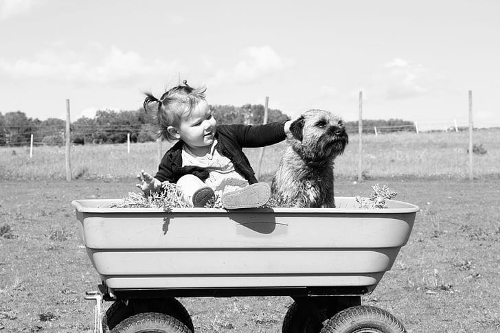 baby, baby girl, black-and-white, cart, dog, girl, pet