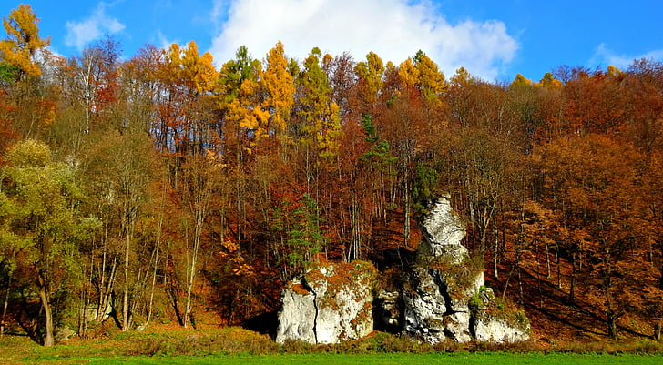 tėvystės nacionalinis parkas, Lenkija, kraštovaizdžio, medis, rudenį, akmenų, gamtos apsuptyje